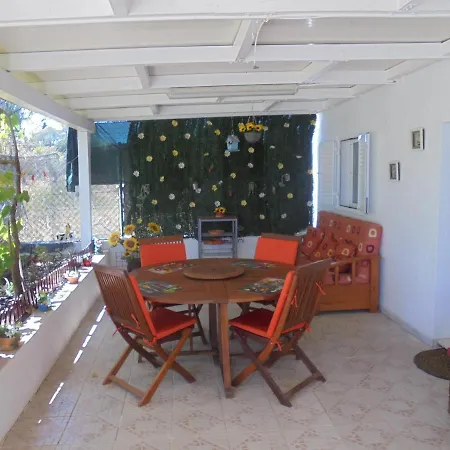 Silence Of The Birds