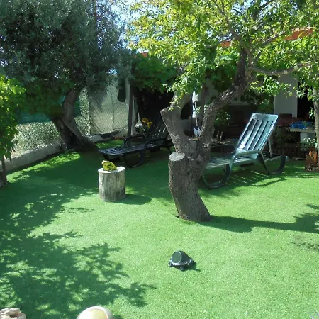 Silence Of The Birds