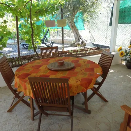 Silence Of The Birds Tatil Evi