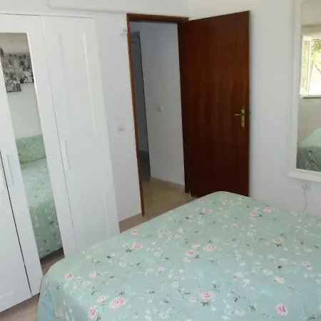 Silence Of The Birds Ольян