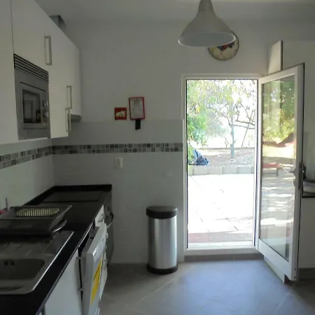 Silence Of The Birds * Ольян