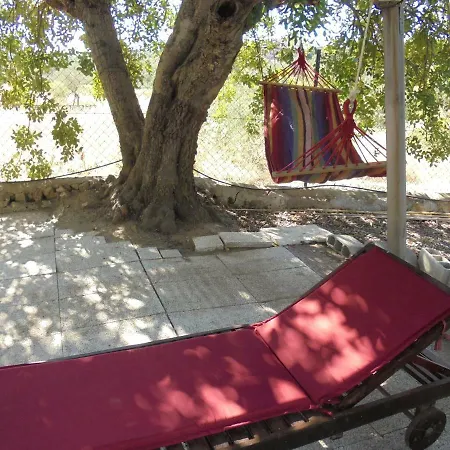 Silence Of The Birds Tatil Evi *