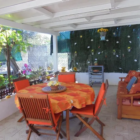 Silence Of The Birds 奥良