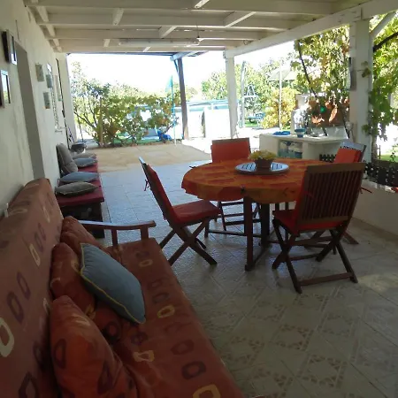 Silence Of The Birds *