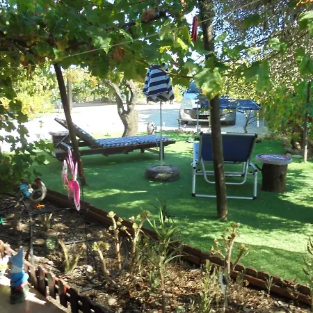 Silence Of The Birds * Olhão