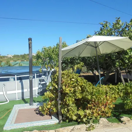 Silence Of The Birds