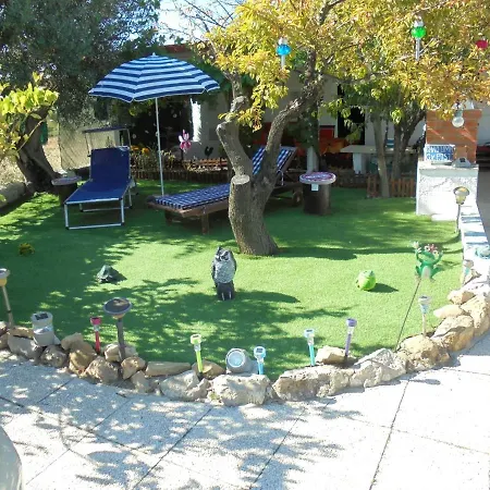 Silence Of The Birds