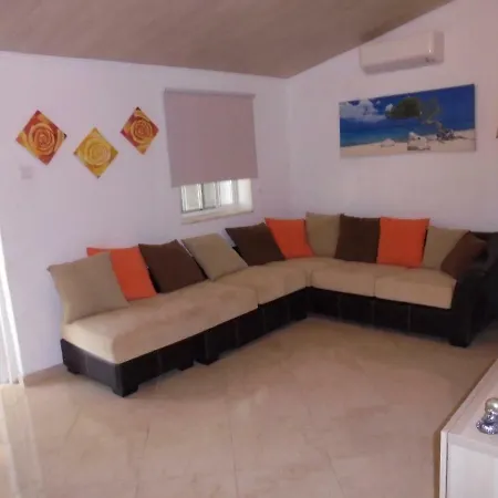 Silence Of The Birds *